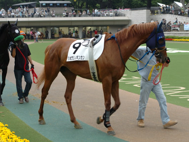 2005/06/04 12R