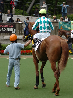 2005/06/04 12R