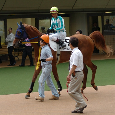 2005/06/04 12R