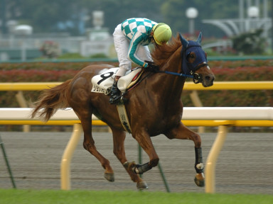 2005/06/04 12R
