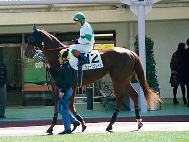 1999/02/14 東京06R