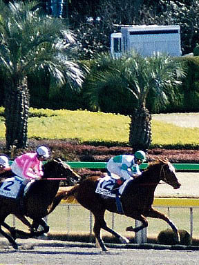 1999/02/14 東京06R