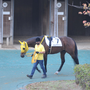 2021/11/07 東京12R