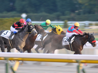 2021/11/07 東京12R
