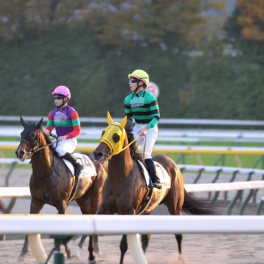 2021/11/07 東京12R