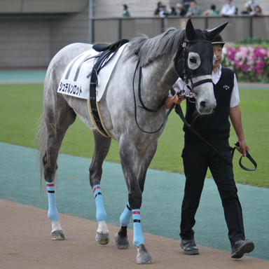 2025/04/26 東京07R