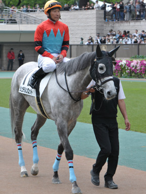 2025/04/26 東京07R