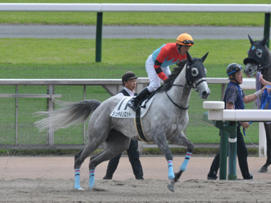 2025/04/26 東京07R