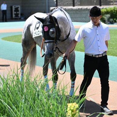 2025/06/22 東京07R