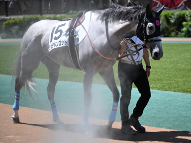 2025/06/22 東京07R