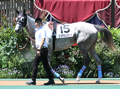 2025/06/22 東京07R