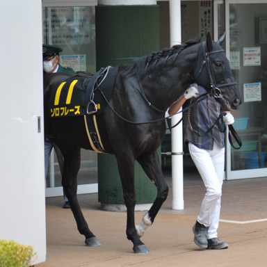 2023/03/12 中山10R
