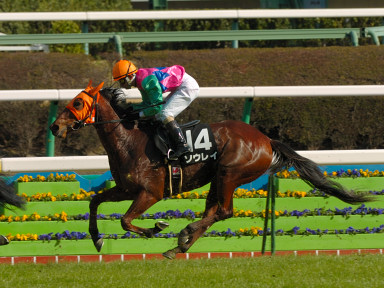 2007/02/24 中山09R