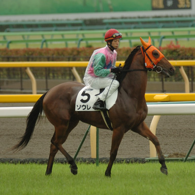 2007/06/10 東京06R