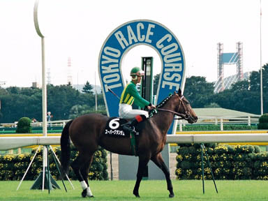 1997/10/12 東京09R