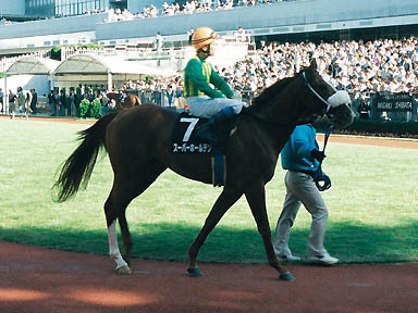 1998/10/18 東京09R