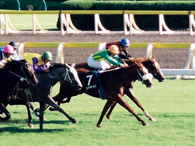 1998/10/18 東京09R
