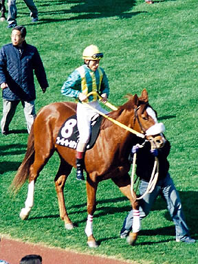 1999/01/31 東京08R