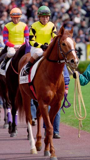 2001/02/18 東京08R