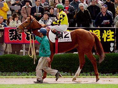 2001/02/18 東京08R
