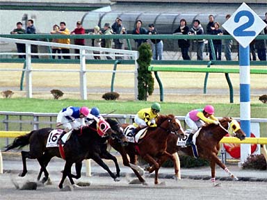 2001/02/18 東京08R