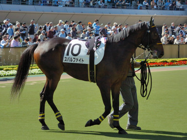 2007/10/21 東京04R