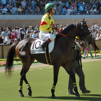 2007/10/21 東京04R