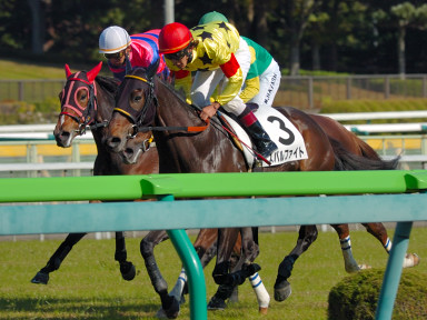 2007/11/23 東京04R