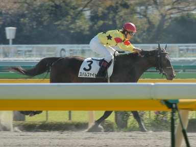 2007/11/23 東京04R