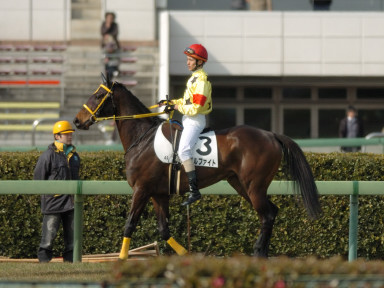 2008/01/26 中山04R