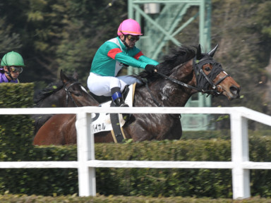2011/02/26 中山04R