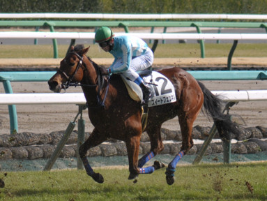 2022/03/05 中山08R
