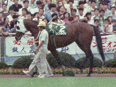 1991/09/15 中山11R