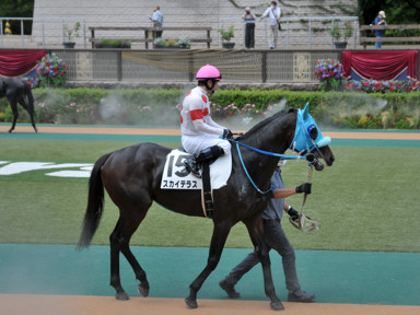 2021/06/20 東京07R