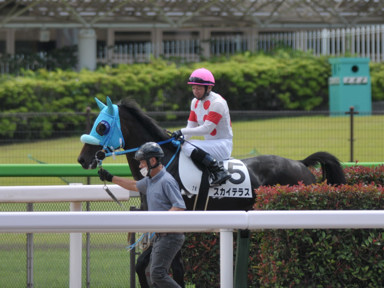 2021/06/20 東京07R