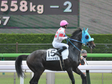 2021/06/20 東京07R
