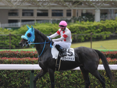2021/06/20 東京07R