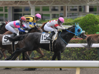 2021/06/20 東京07R