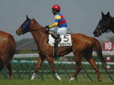 2009/04/11 中山07R