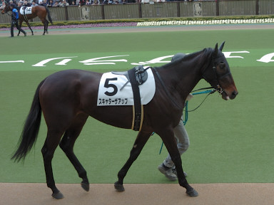 2007/02/17 東京08R