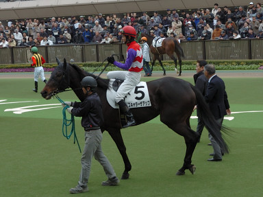 2007/02/17 東京08R