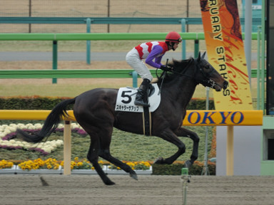 2007/02/17 東京08R
