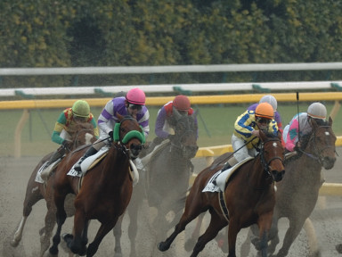2007/02/17 東京08R