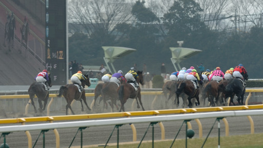 2007/02/17 東京08R