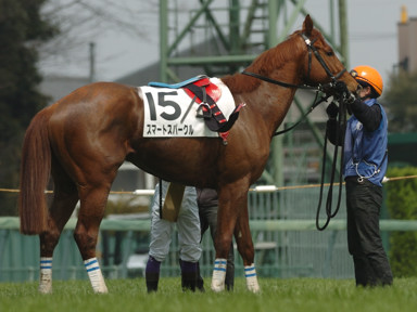 2009/04/12 R06R