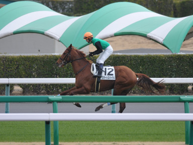 2012/03/11 R04R