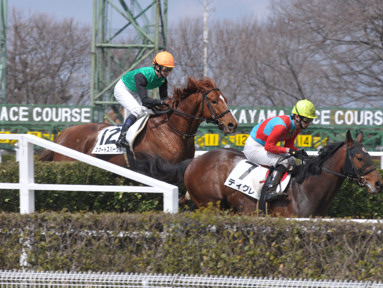 2012/03/11 R04R