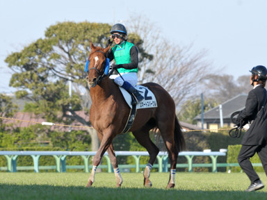 2012/04/08 R12R