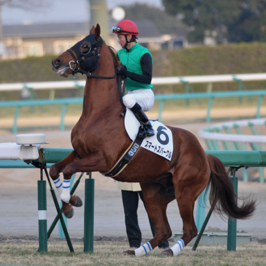 2013/01/13 R12R