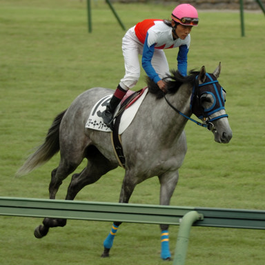 2008/09/27 R12R